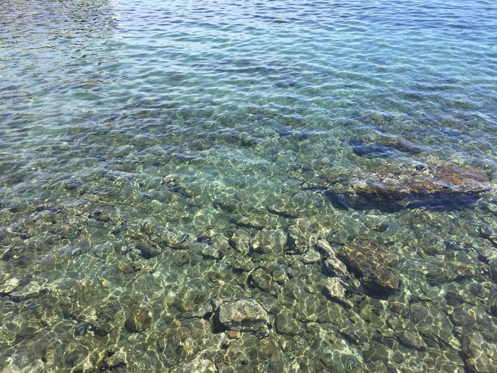 Es Caials Lejlighed Cadaqués Eksteriør billede