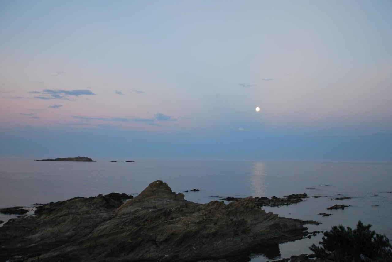 Es Caials Lejlighed Cadaqués Eksteriør billede